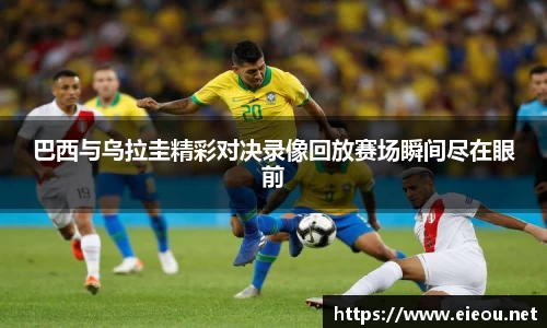 尊龙凯时 